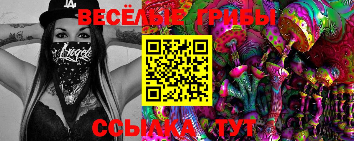 Галлюциногенные грибы Psilocybe  Галлюциногенные грибы мухоморы  Пугачёв  Вход с VPN 